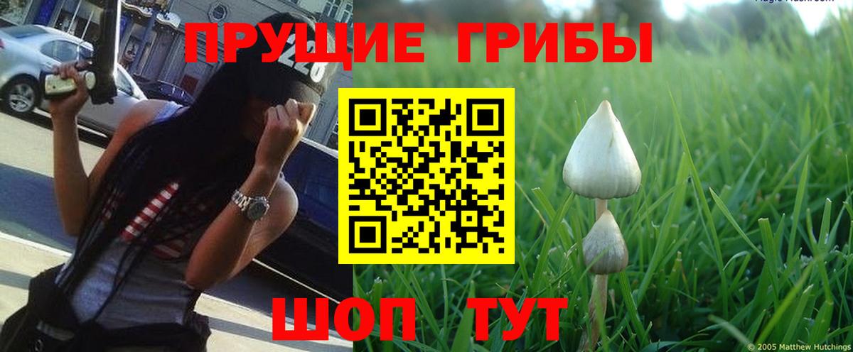 Галлюциногенные грибы ЛСД Мурманск